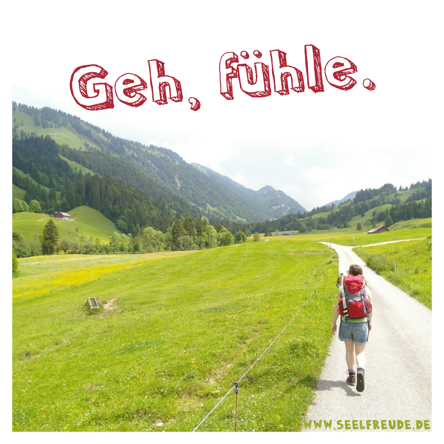 Read more about the article Geh, fühle.